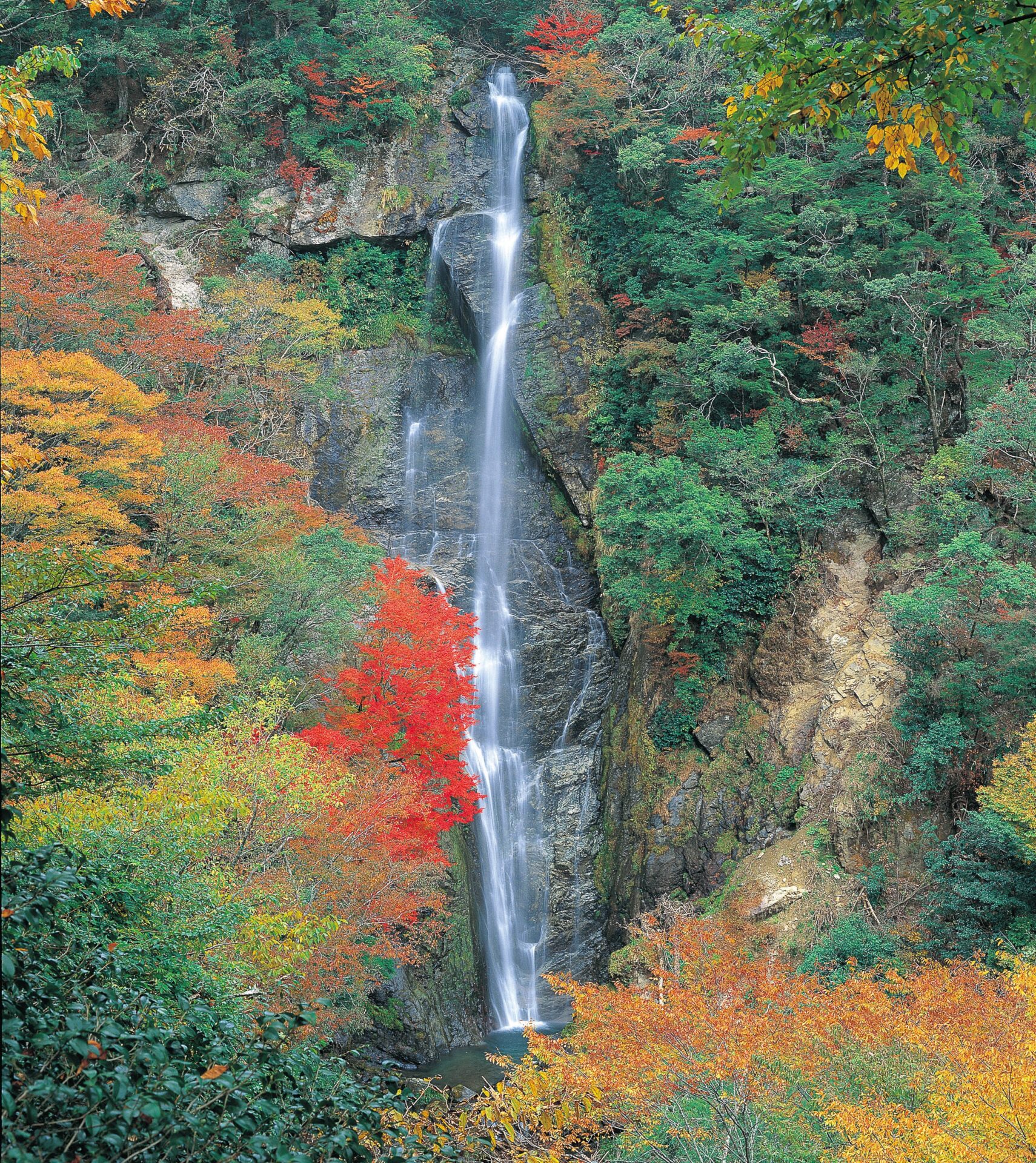 日本の滝百選の「せんだん轟の滝」。展望台そばの吊り橋を渡れば、滝壺の目の前まで行くことが可能