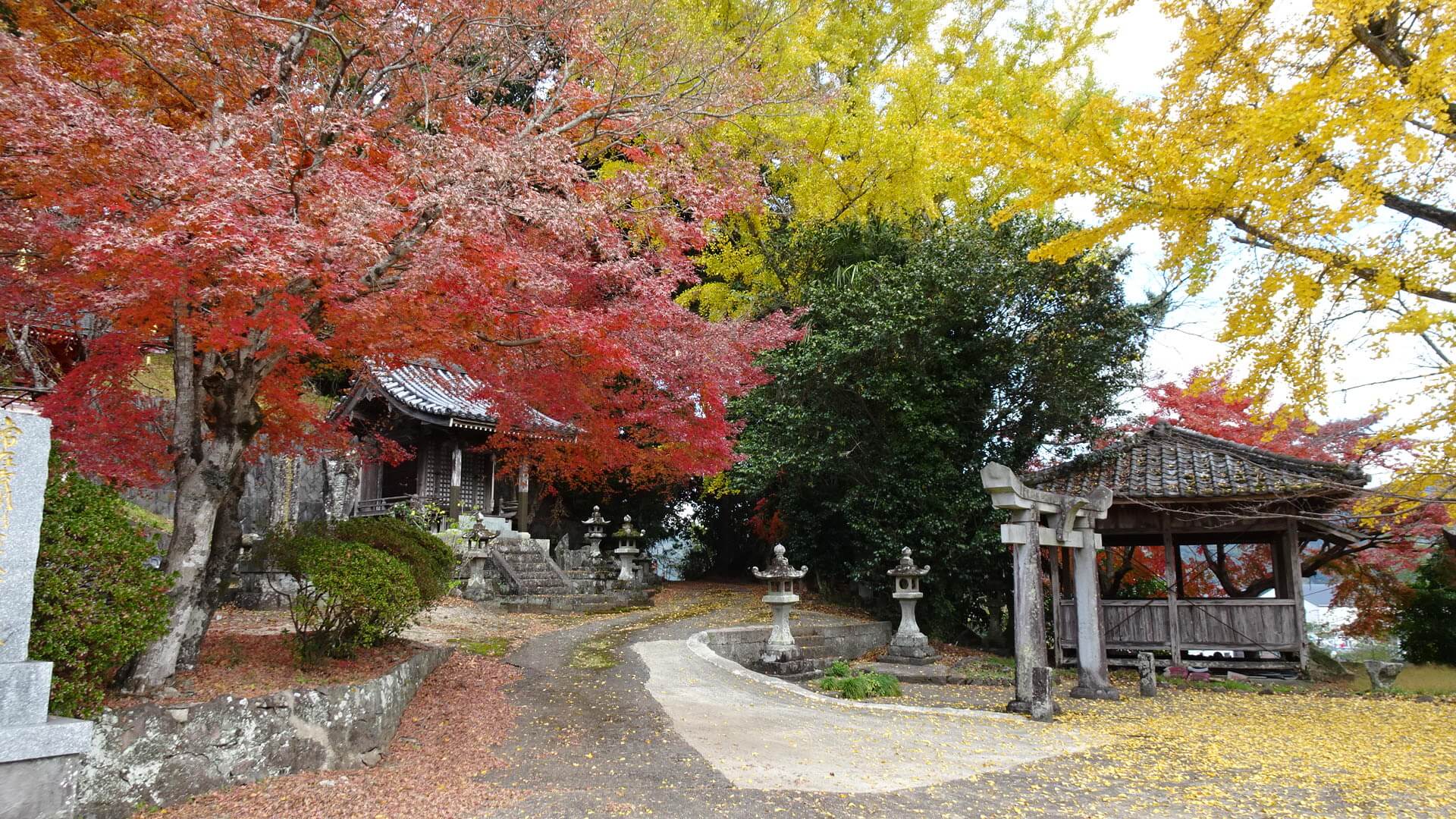 塩田町常在寺境内の紅葉