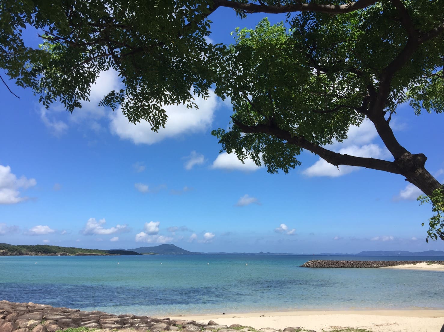 青い海と白い砂浜が抜群のロケーションで人気の「大崎海水浴場」
