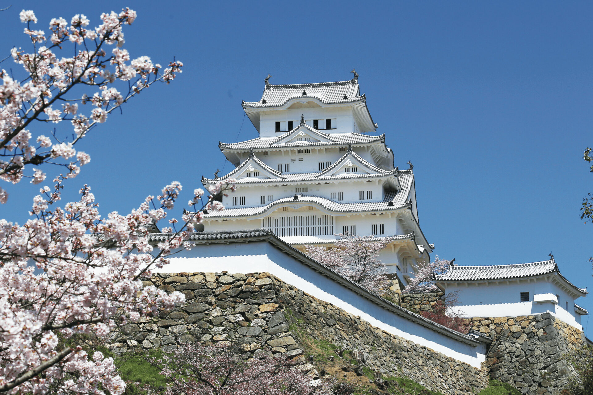 その優美な姿から 「白鷺城」とも呼ばれる 世界文化遺産「姫路城」