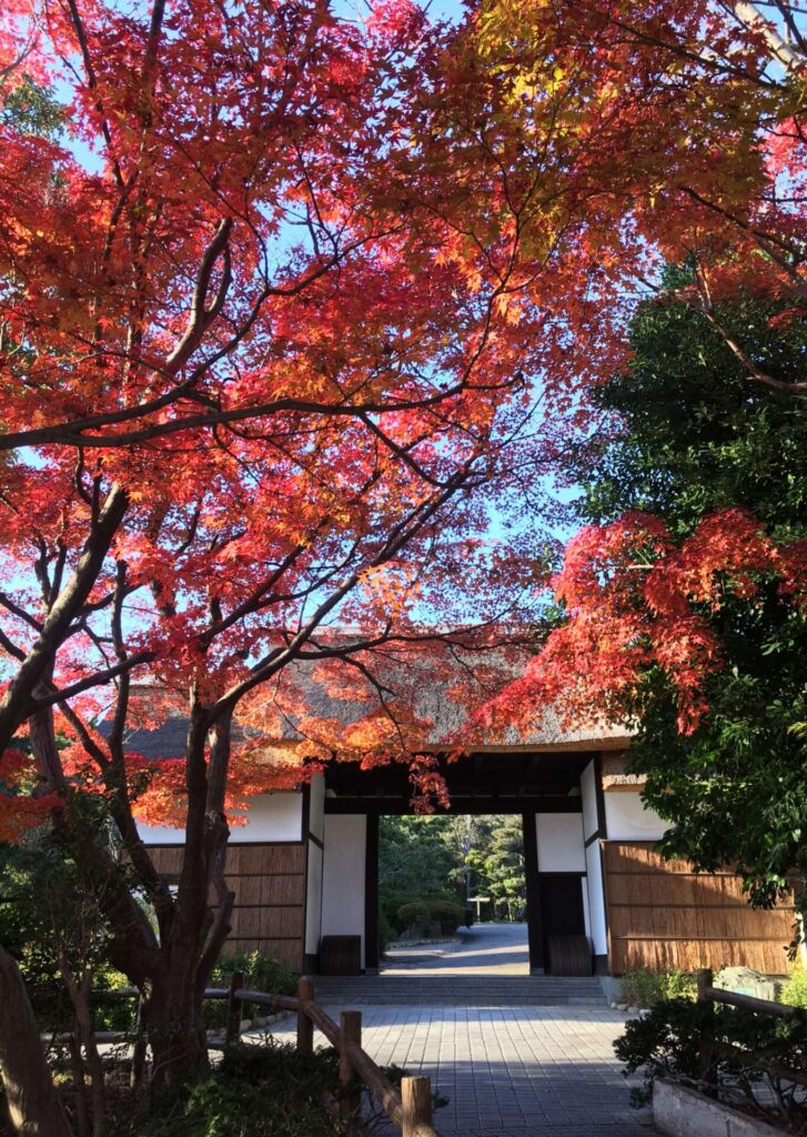 大倉公園 茅葺門