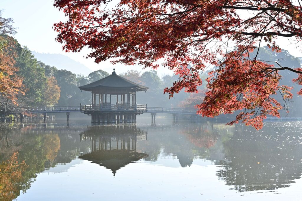 水面に映る姿も美しい『浮見堂』(奈良公園・鷺池)