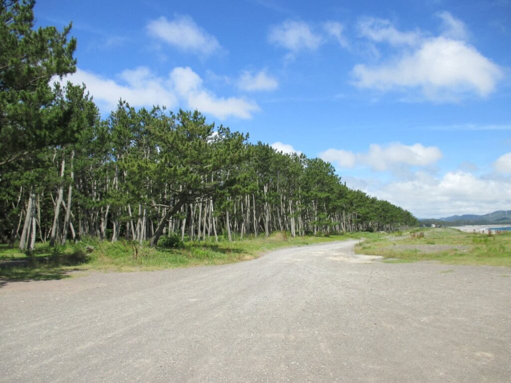 煙樹海岸キャンプ場