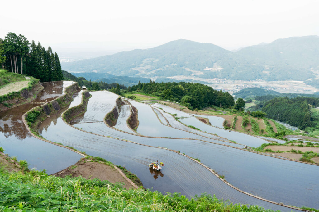 風景