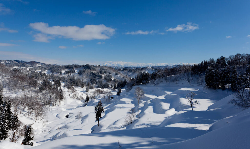 雪景色