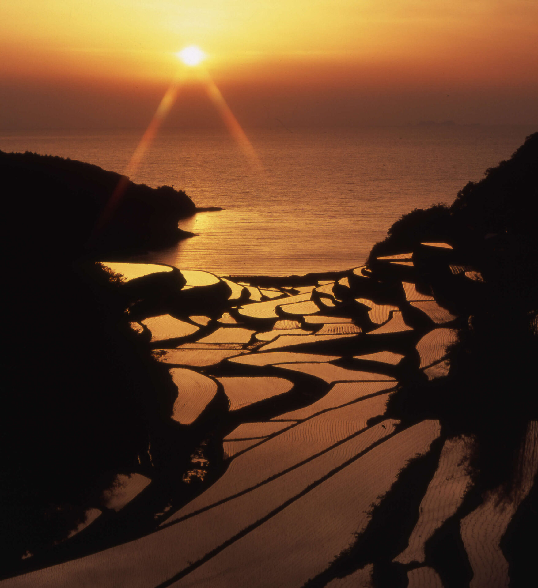 夕陽がオレンジ色に染まり海と水田とあぜ道とが描く「浜野浦の棚田」