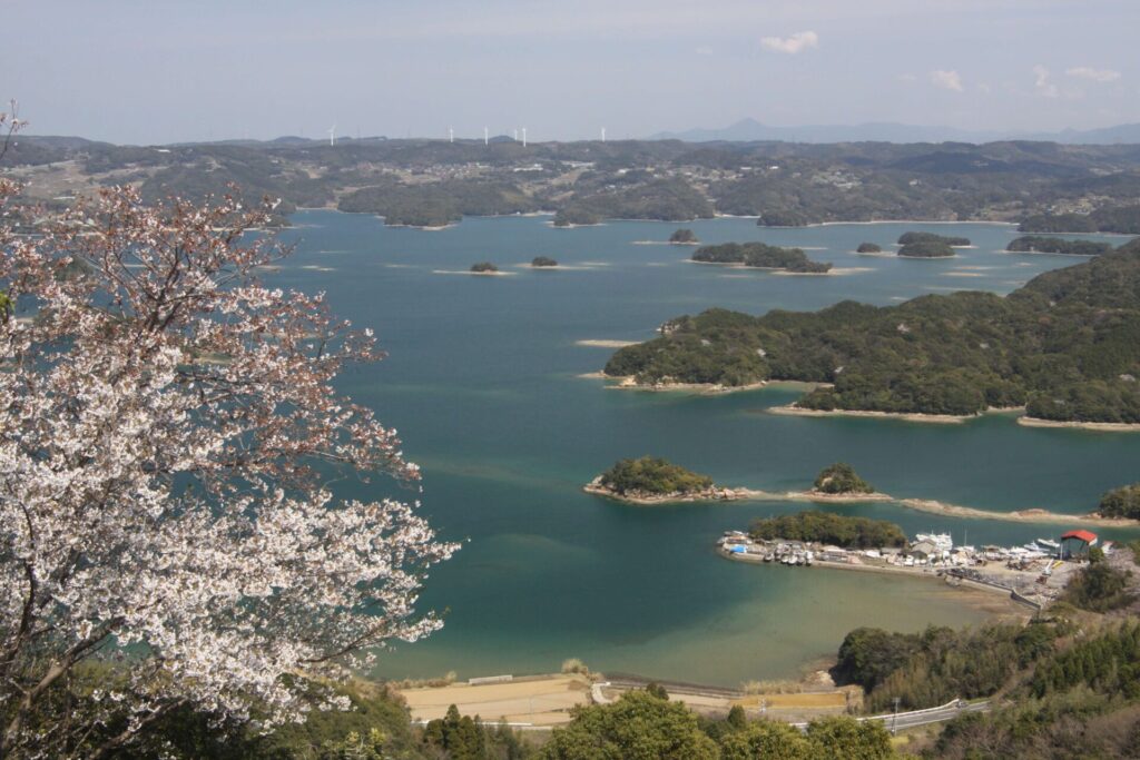 花のイロハ島