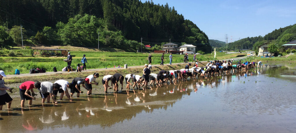 収穫量・産出量ともに関東ナンバーワンを誇る米どころ