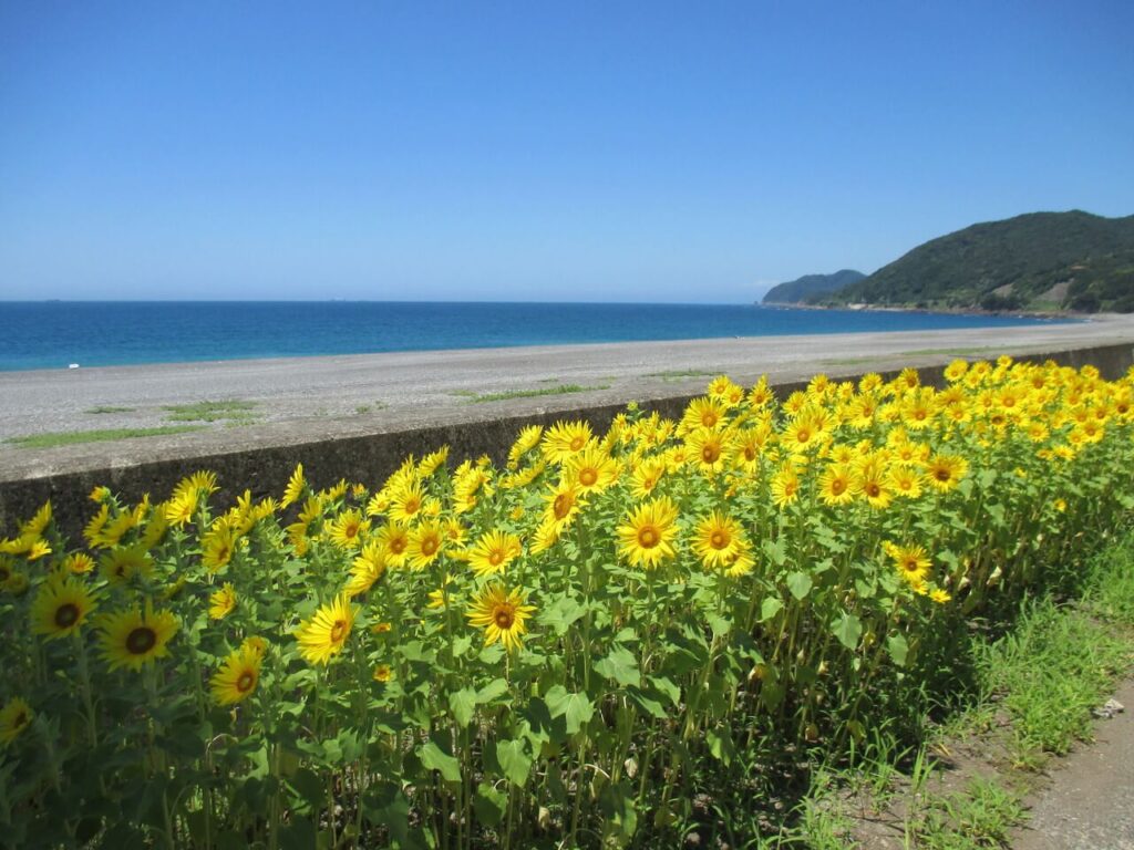煙樹海岸キャンプ場