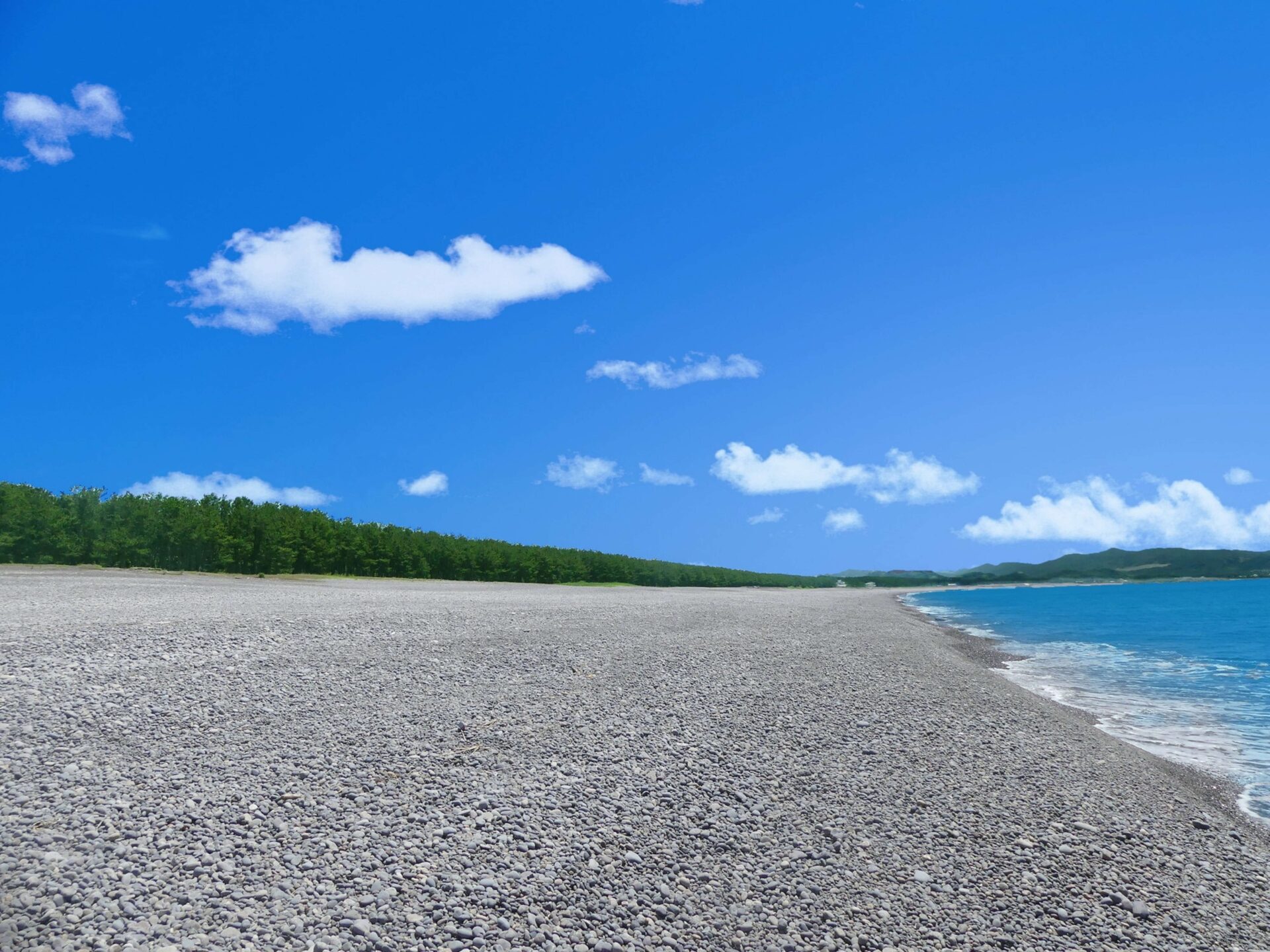 煙樹海岸