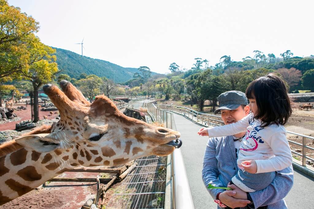 迫力満点の動物達を目の前に、餌やり体験ができるアニマルキングダム