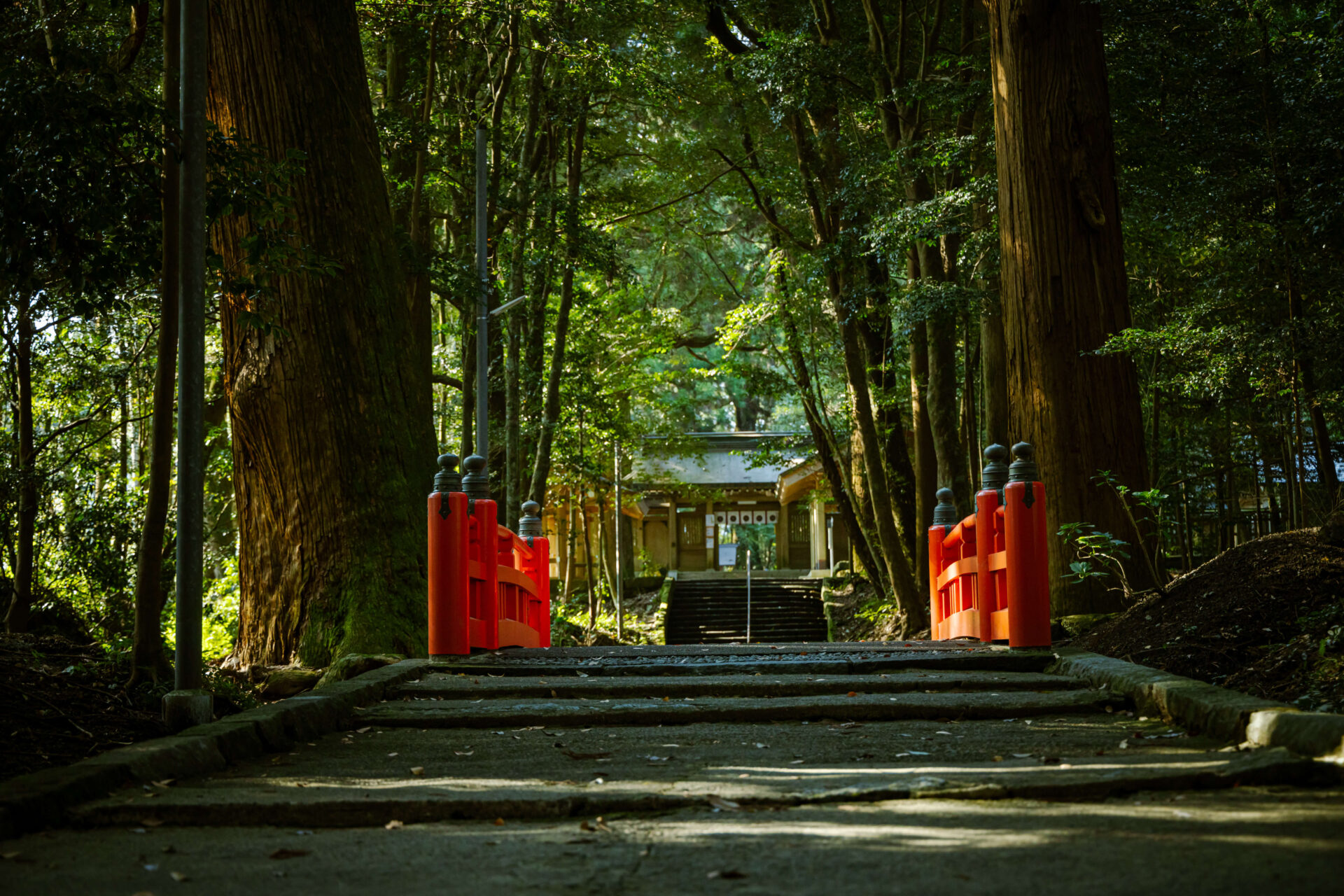 島津義弘公が奉納した狭野杉が残る霧島六社権現のひとつの挟野神社