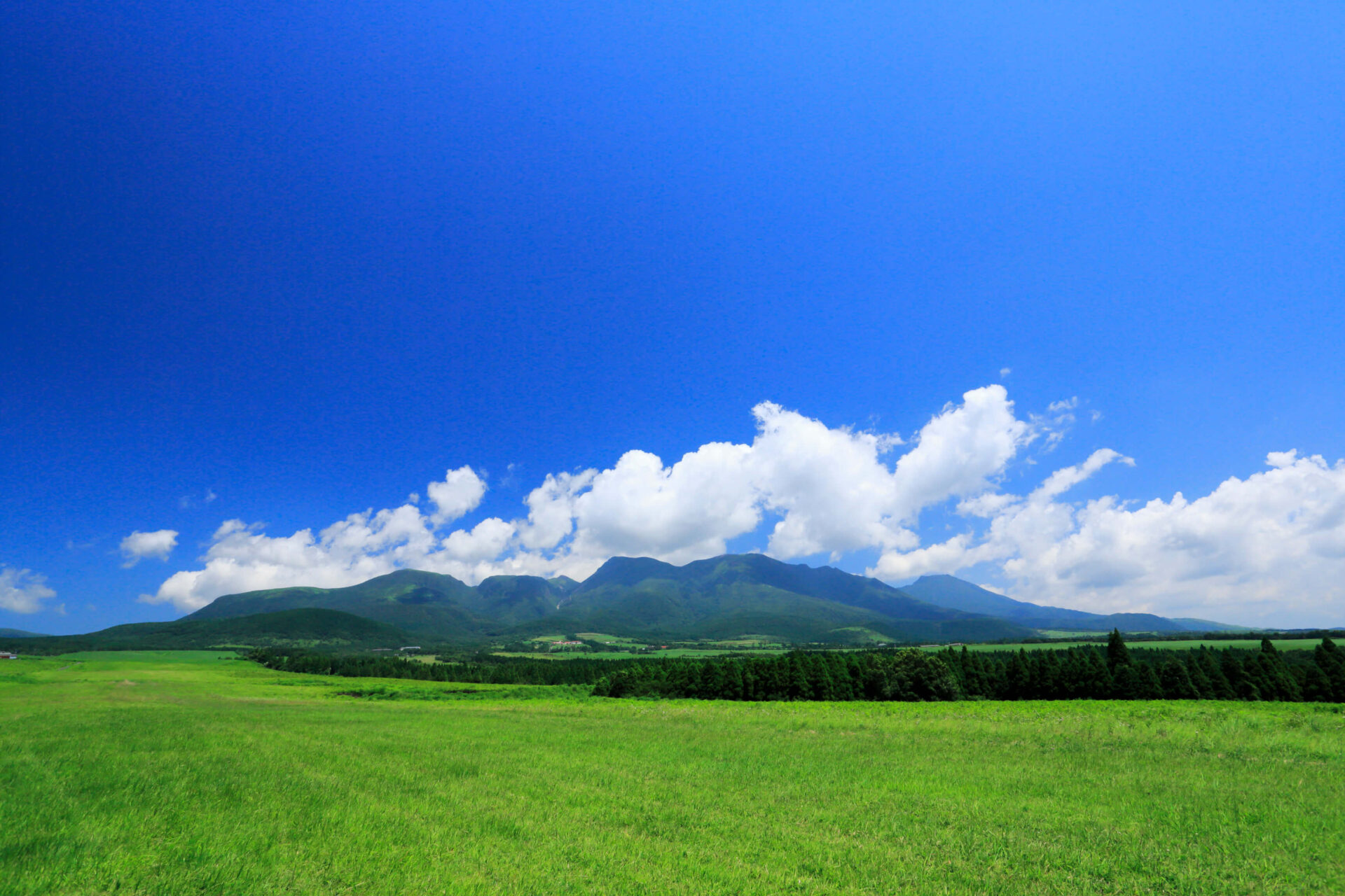 草原のパノラマが美しい「久住高原」