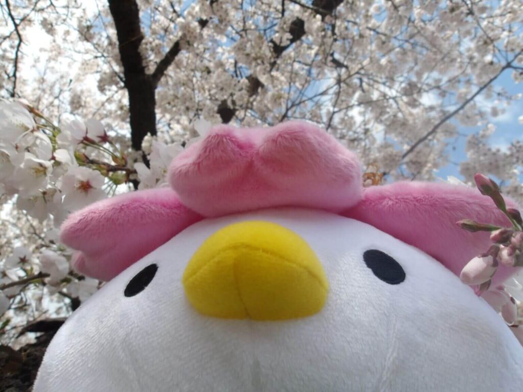 幸運の花を咲かせる妖精「さくらっきー」(大河原町PRキャラクター)