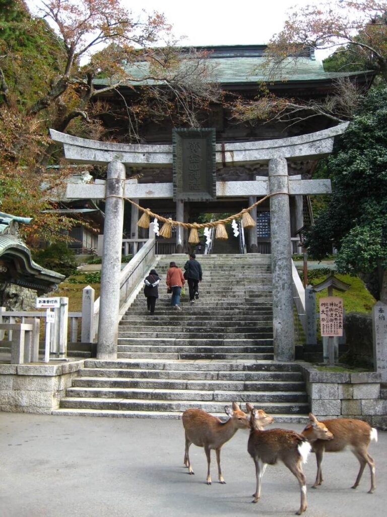 金華山黄金山神社境内