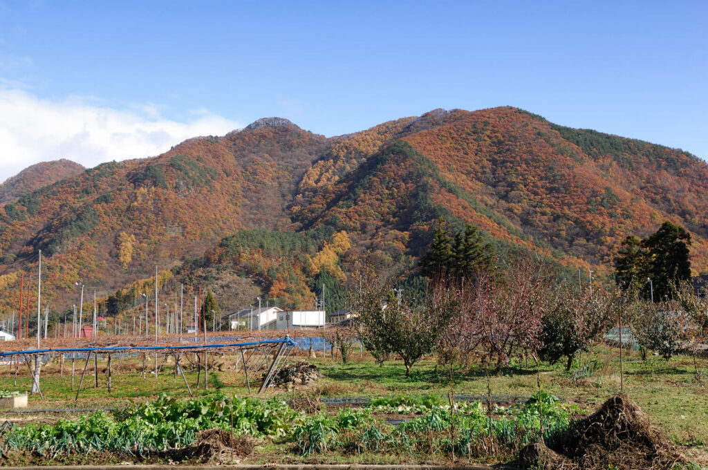 雁田山秋