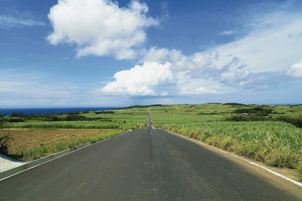 サトウキビ畑を貫く一本道