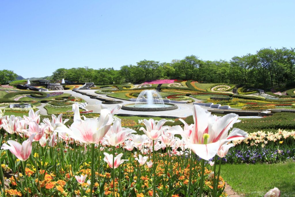 みちのく公園