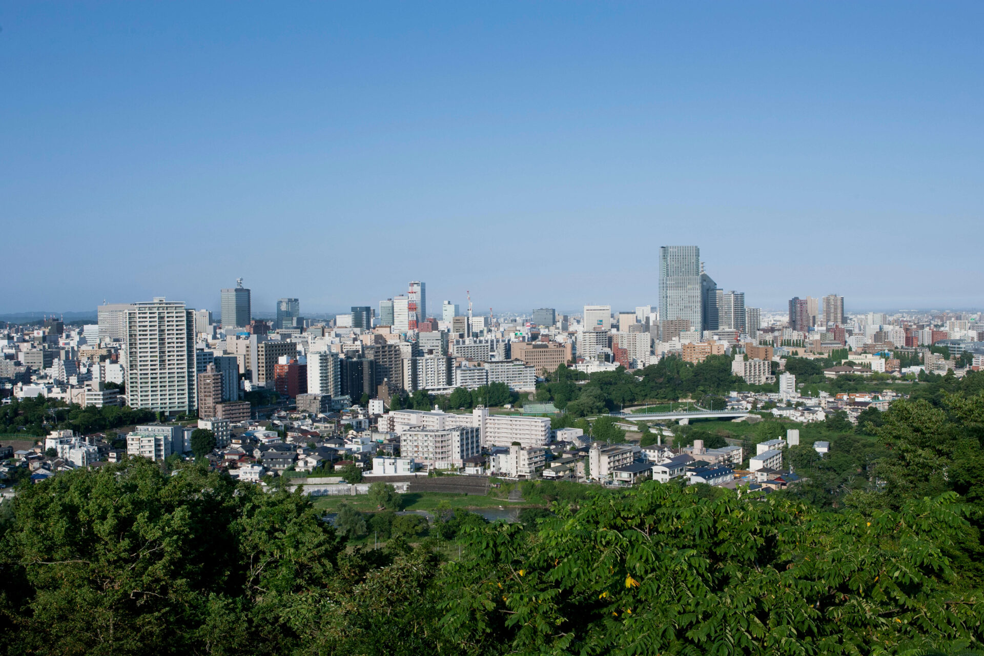 青葉山からの眺望ⓒcity of sendai