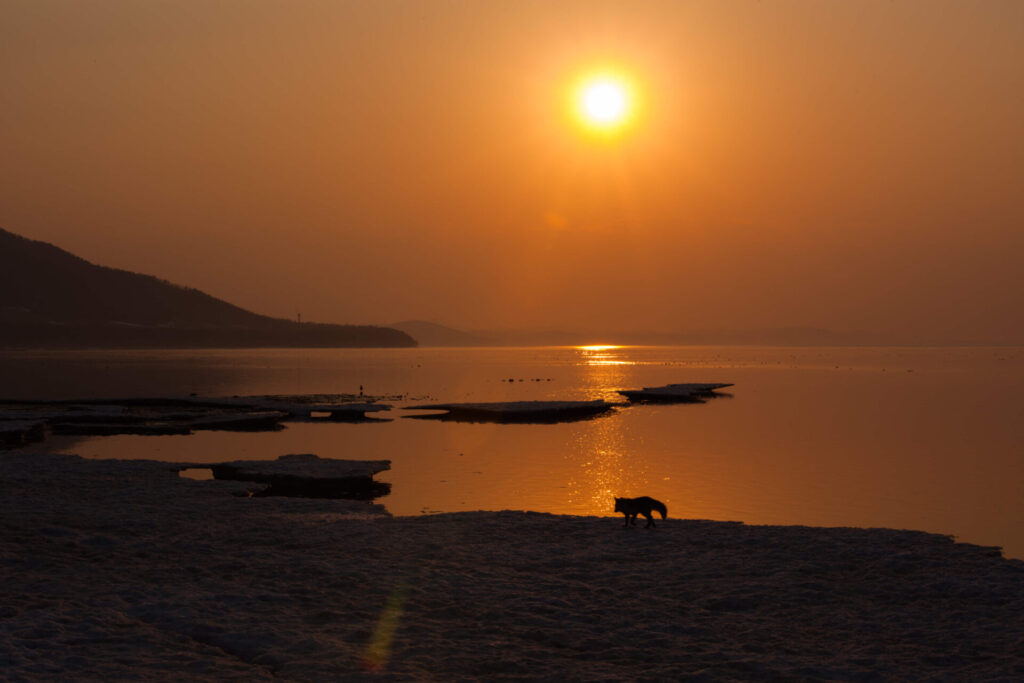 キムアネップ岬夕景