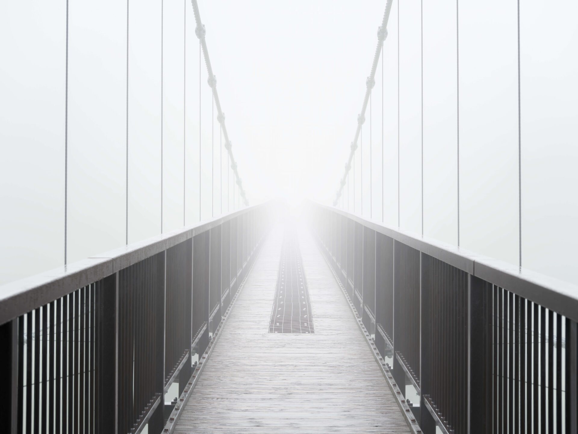 幻想的なツツジ吊り橋