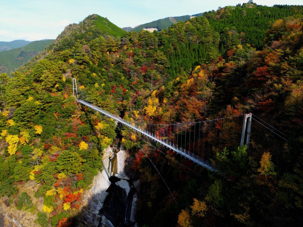 紅葉×白龍妃橋×白水滝