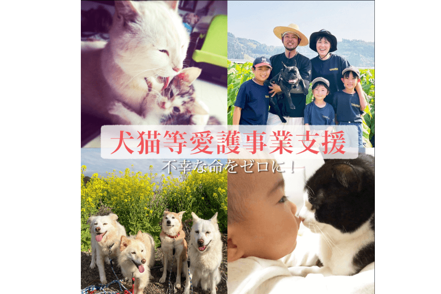 【返礼品なし】犬猫等愛護活動応援寄附金
