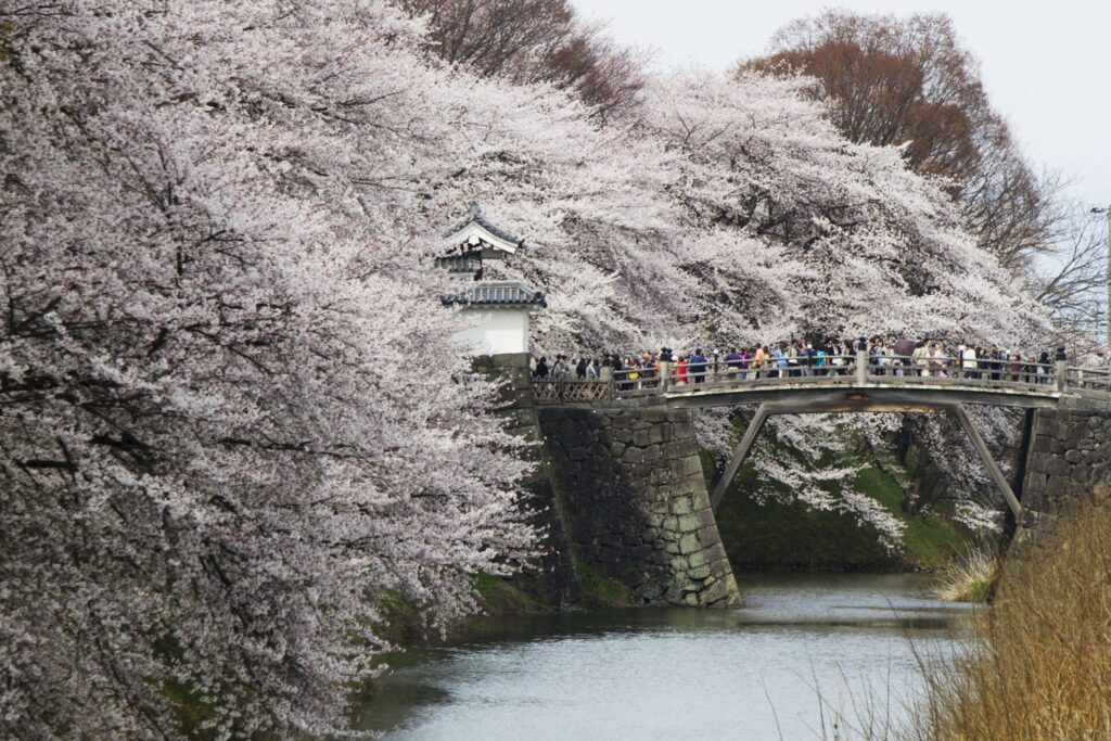 霞城公園