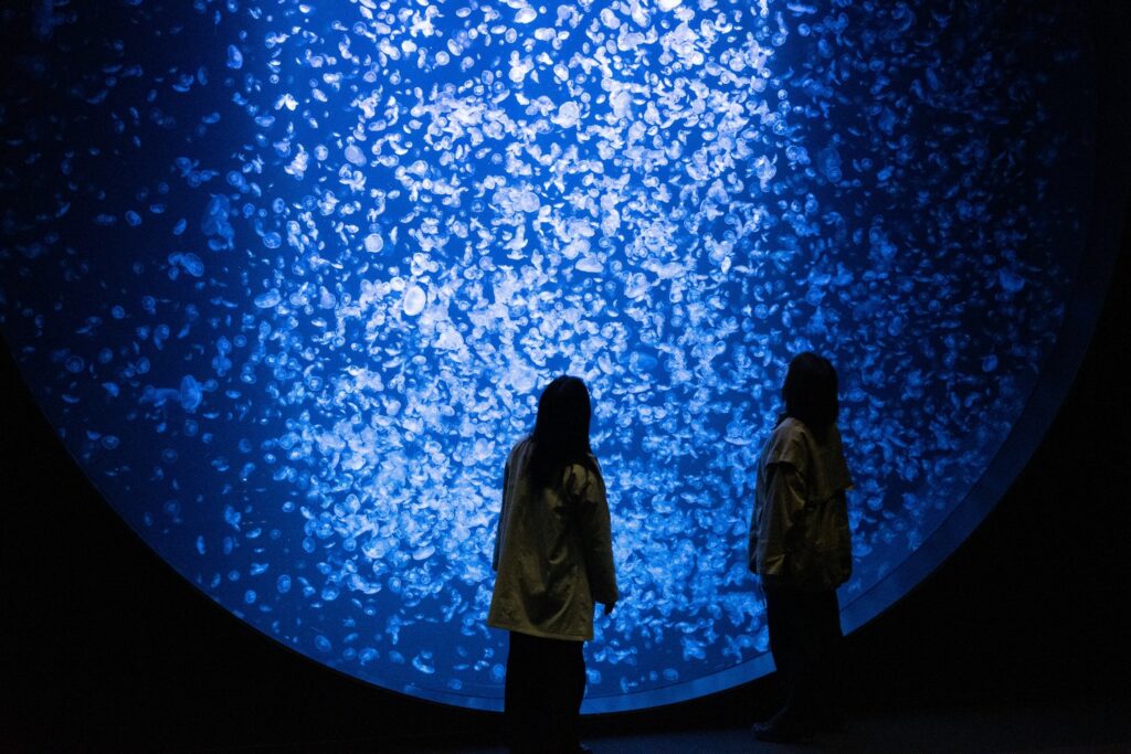 「東北エプソンアクアリウムかもすい」館内のハイライト。直径約5mの円形水槽の中に約1万匹のミズクラゲが漂う光景は、美しく幻想的だ