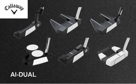 話題の高性能モデル「Ai-DUAL Putter」