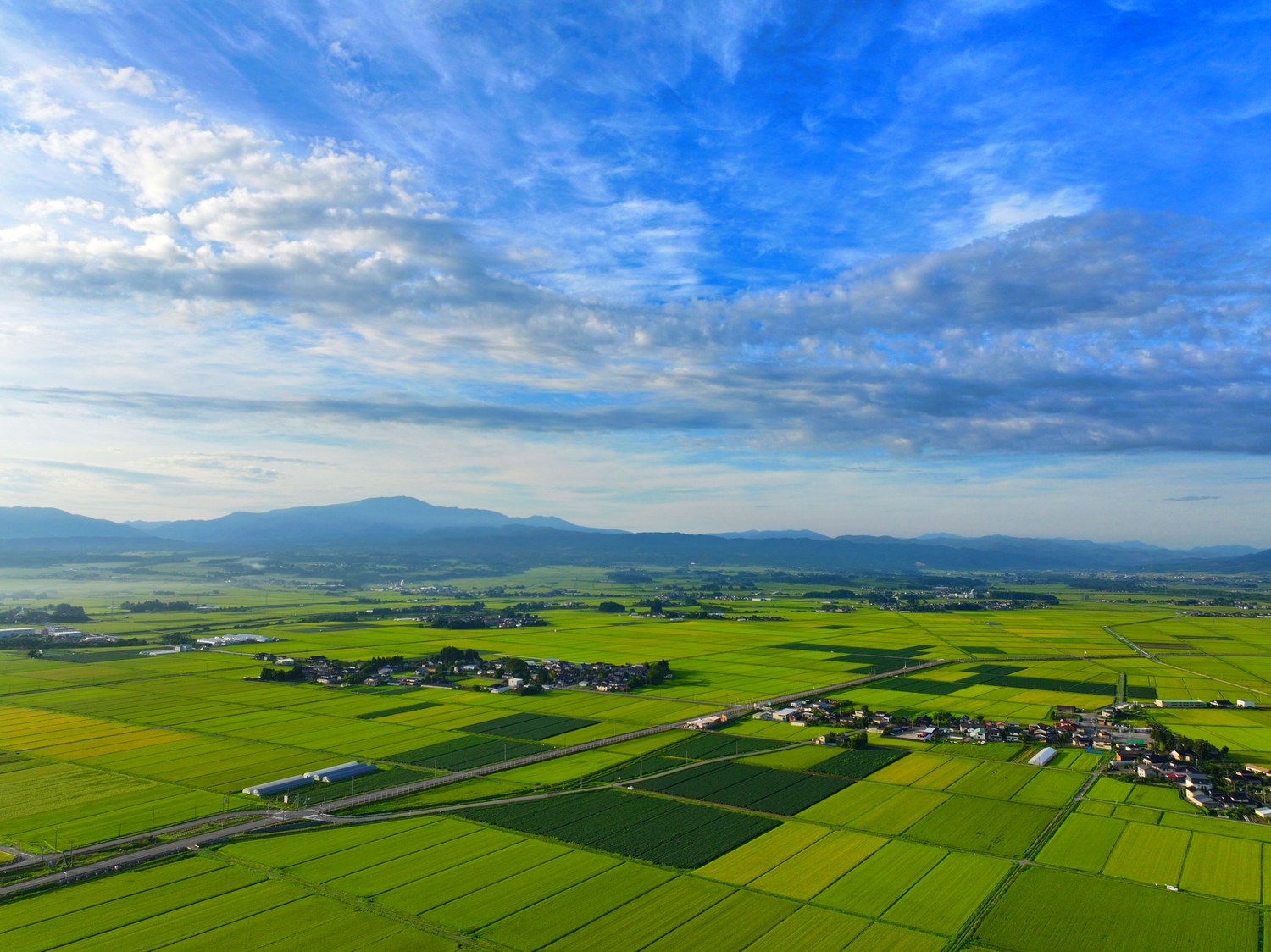 庄内平野は「出羽三山」の伏流水が潤す県内最大の穀倉地帯。
