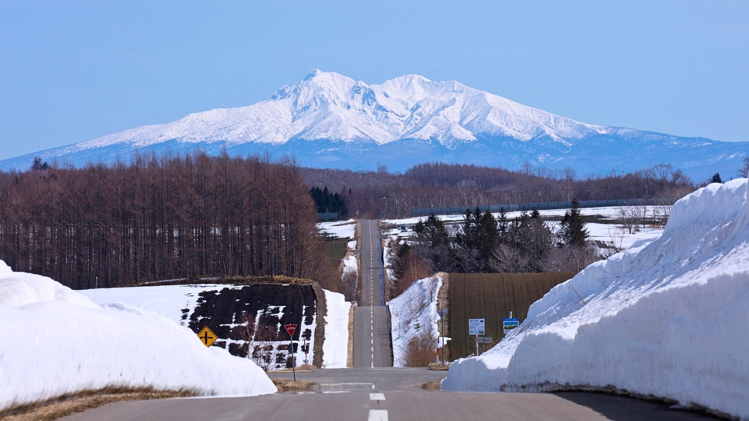 オーヴェールの丘