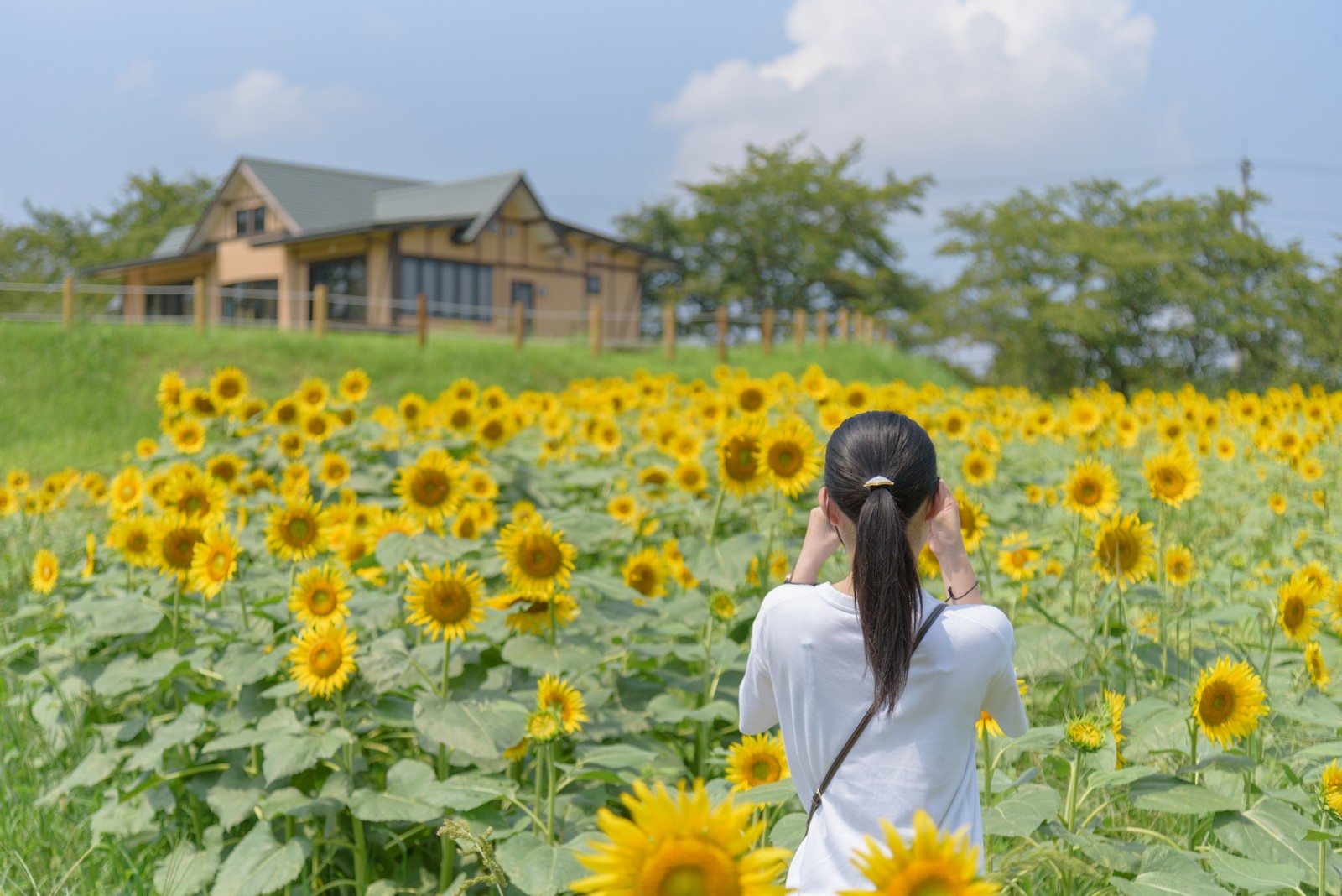 収穫体験や季節の花が楽しめる「東松山市農林公園」