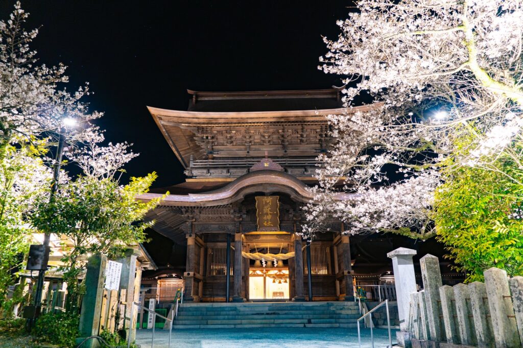 阿蘇神社楼門 夜桜正面