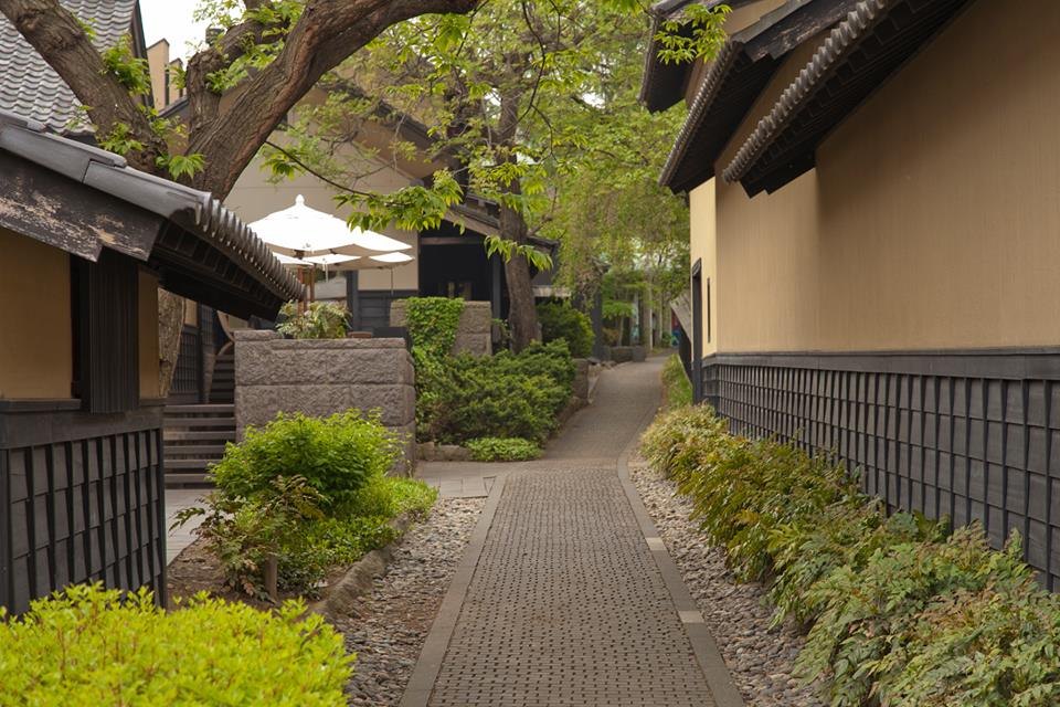 栗の老木や竹林に囲まれた栗の小径