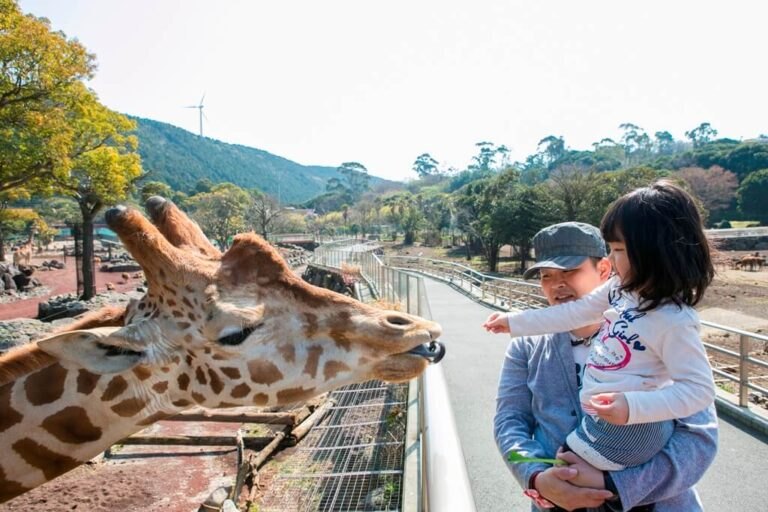 動物達を目の前に、餌やり体験ができるアニマルキングダム