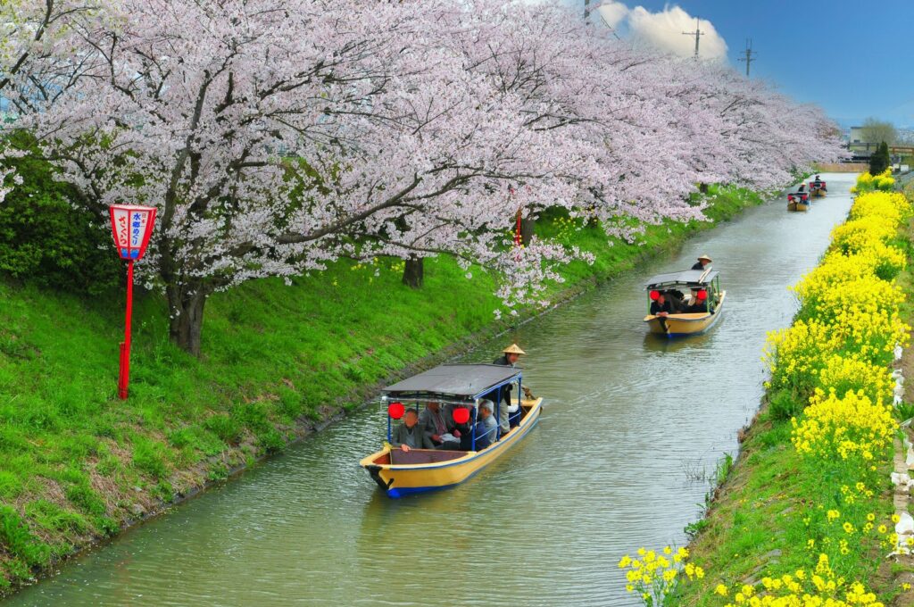 重要文化的景観　水郷めぐり