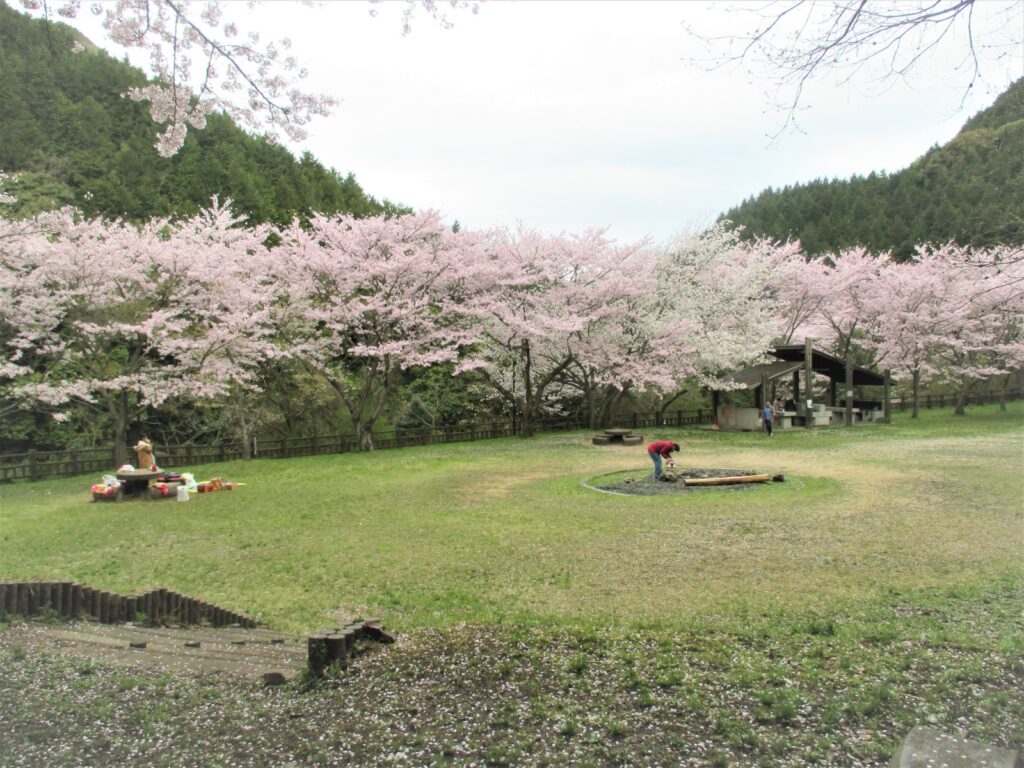 鳥取池緑地・桜の園