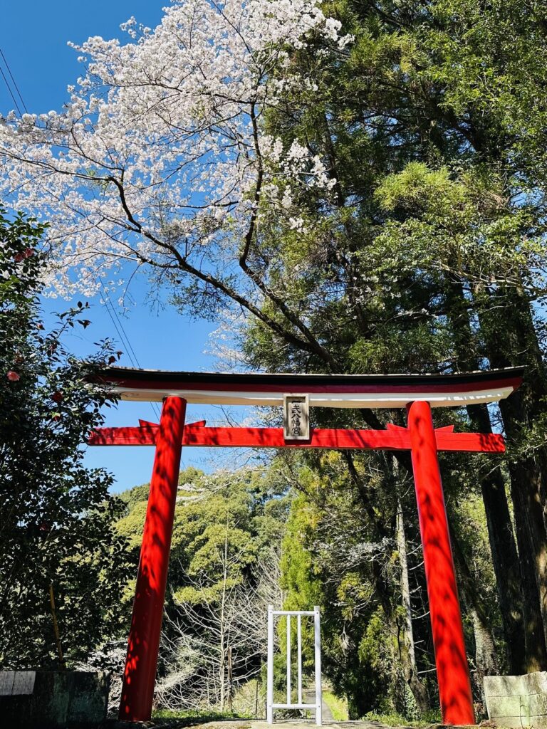 歴史ある一武八幡宮を包む春の桜景色