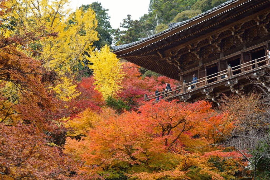 書写山（紅葉）