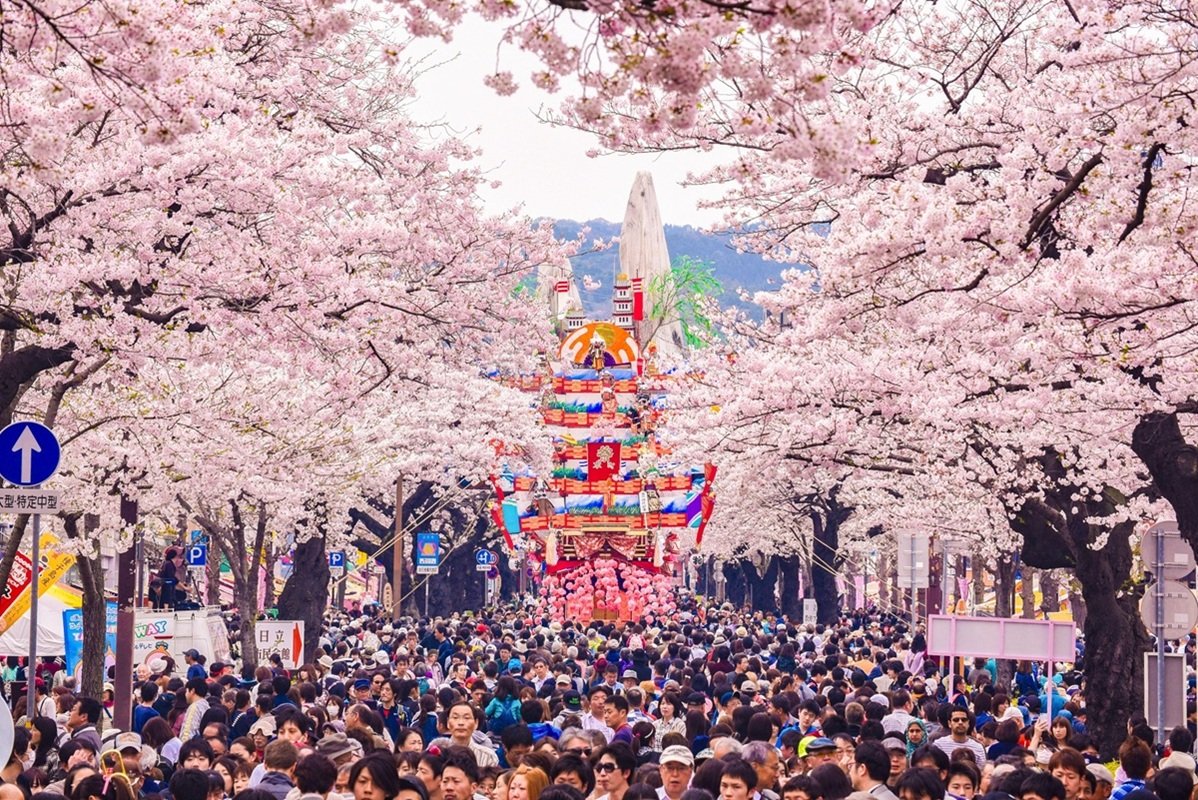 満開の桜が彩る「日立さくらまつり」