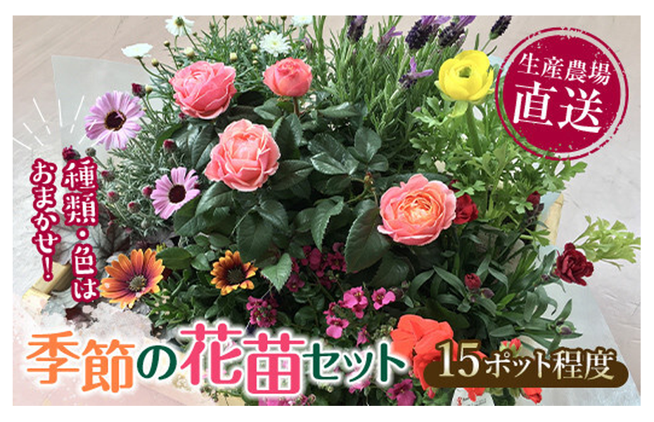 季節の花苗セット