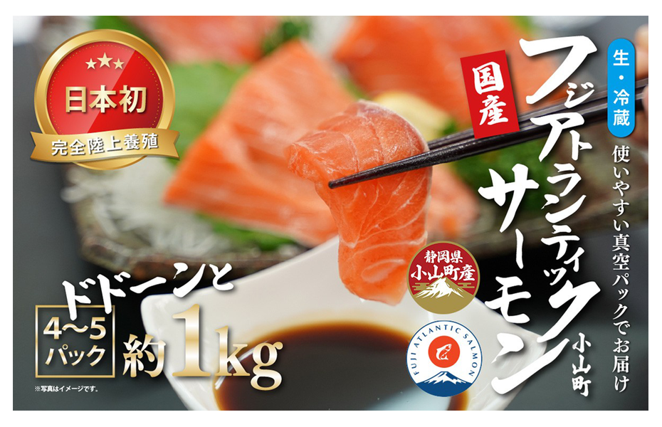 フジアトランティックサーモン 生・冷蔵