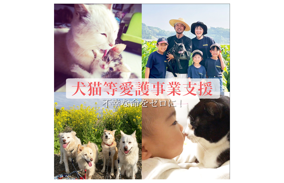【返礼品なし】犬猫等愛護活動応援寄附金