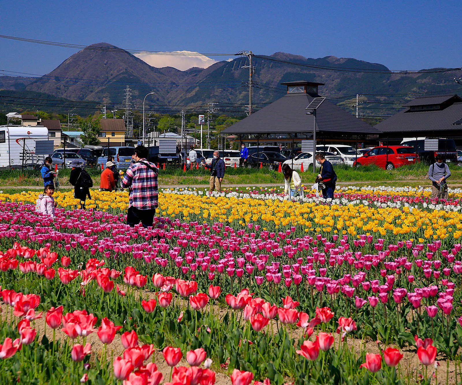 春・「道の駅・花と共に」