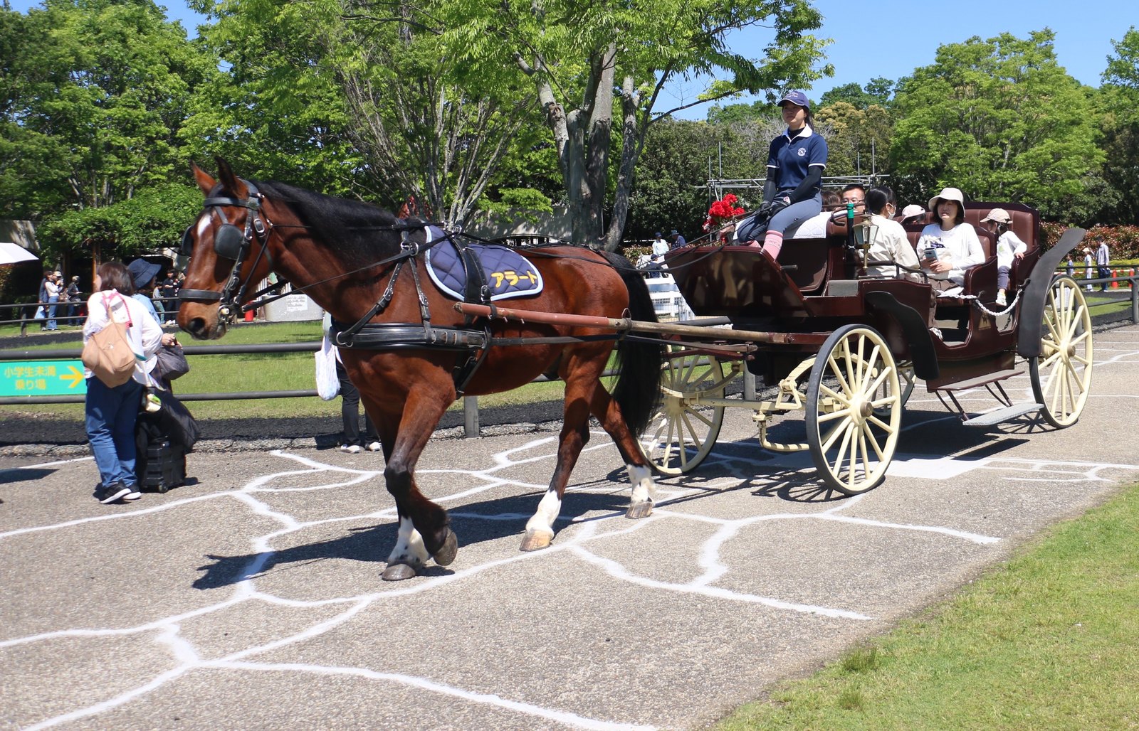 三木ホースランドパークでの引き馬試乗会
