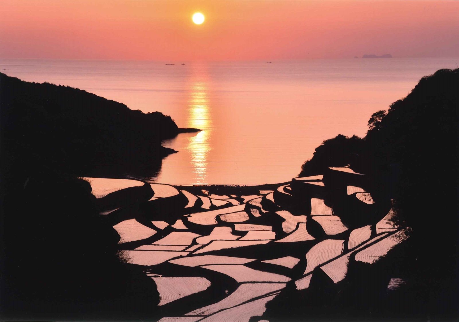 夕焼けの浜野浦の棚田