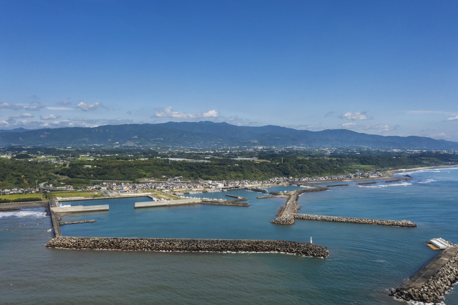 様々な魚が水揚げされる川南漁港
