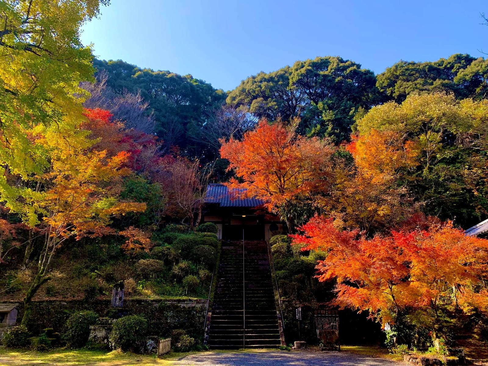 色鮮やかな紅葉に包まれる秋の寺院風景