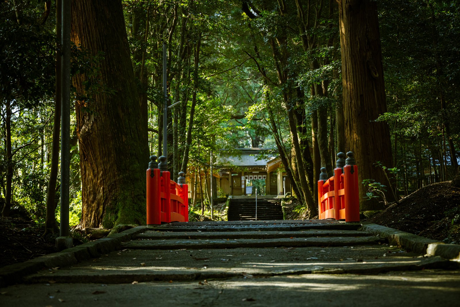 島津義弘公が奉納した挟野杉が残る霧島六社権現のひとつの挟野神社